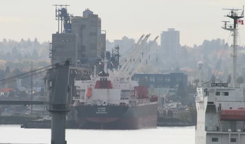 ATHOS Bulk Carrier IMO 9408293 photo 8