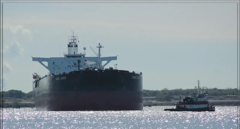 TARBET SPIRIT Tanker IMO 9408322 photo 7