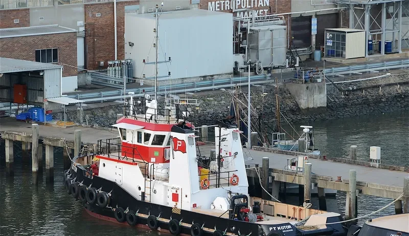 PT KOTOR General Cargo IMO 9408748 photo 7