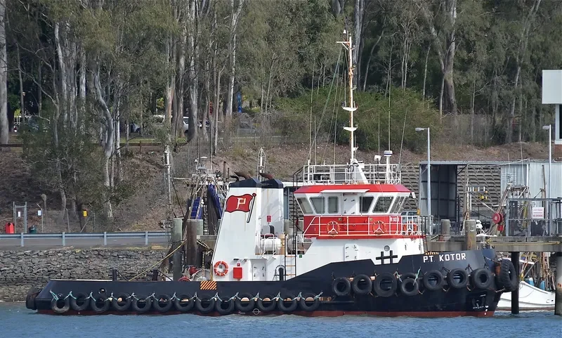 PT KOTOR General Cargo IMO 9408748 photo 9