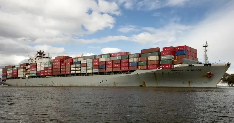 ARGUELLO Container Ship IMO 9409027