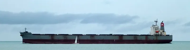 CAPE BRITANNIA Bulk Carrier IMO 9409065 photo 2
