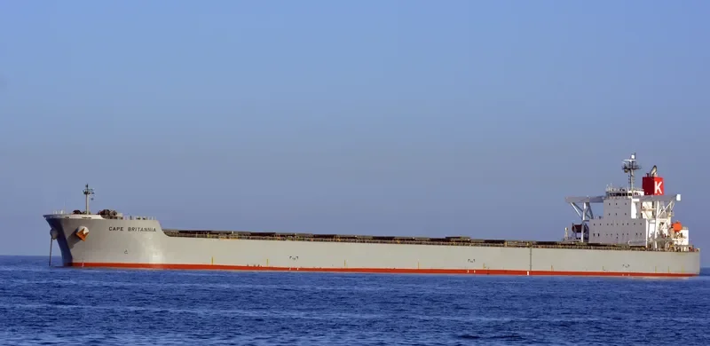 CAPE BRITANNIA Bulk Carrier IMO 9409065 photo 3