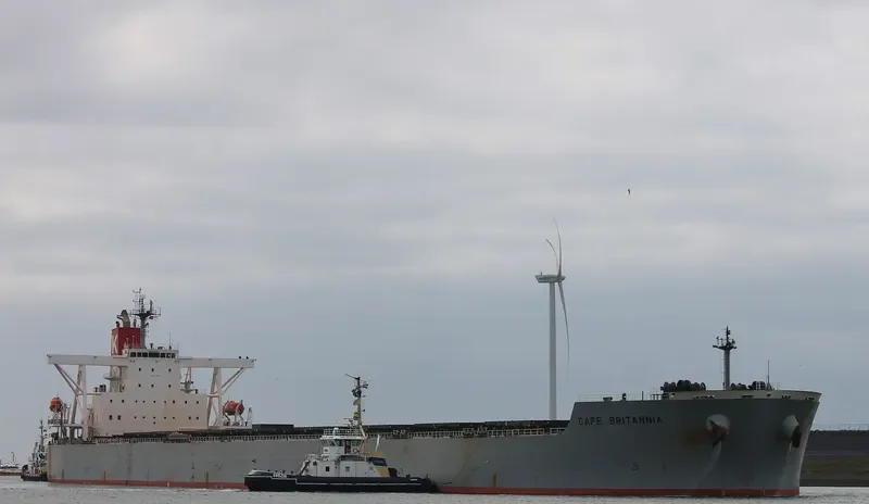 CAPE BRITANNIA Bulk Carrier IMO 9409065 photo 6