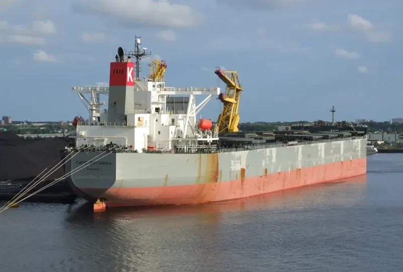 CAPE BRITANNIA Bulk Carrier IMO 9409065 photo 8