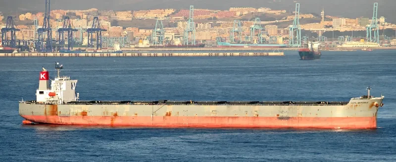 CAPE BRITANNIA Bulk Carrier IMO 9409065 photo 10