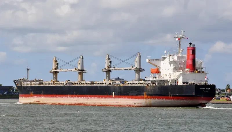 EPIC Bulk Carrier IMO 9409077 photo 4