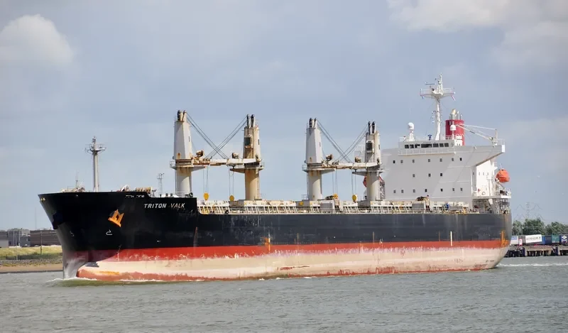 EPIC Bulk Carrier IMO 9409077 photo 5