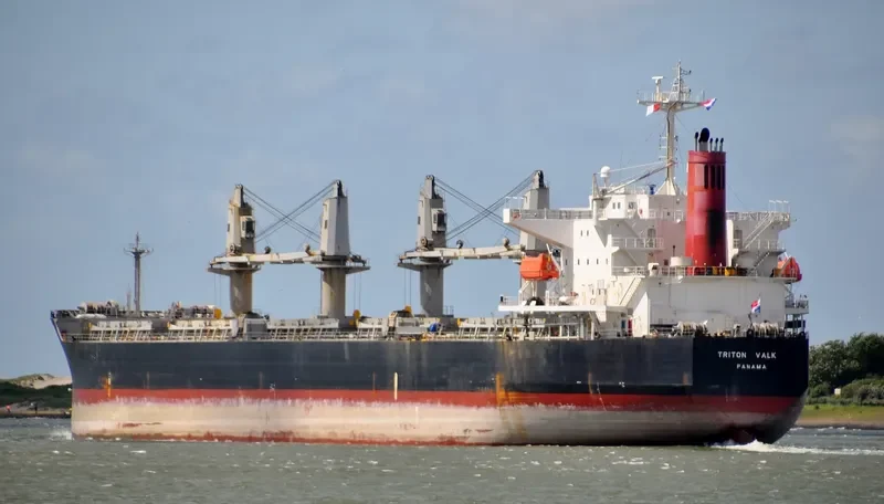 EPIC Bulk Carrier IMO 9409077 photo 6