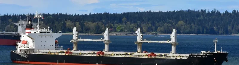 EMELDA Bulk Carrier IMO 9409089 photo 2