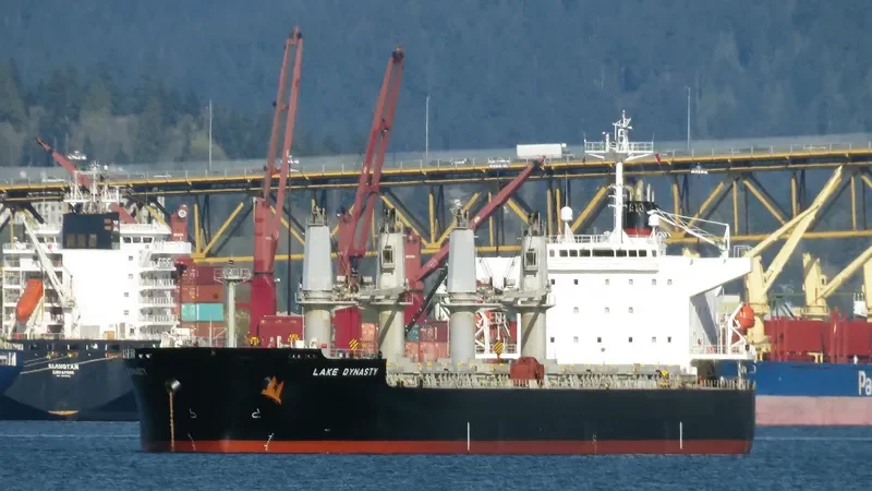 EMELDA Bulk Carrier IMO 9409089 photo 3