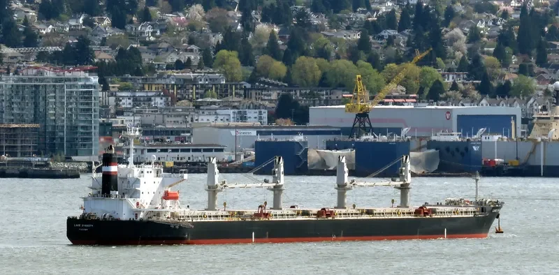 EMELDA Bulk Carrier IMO 9409089 photo 4