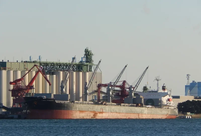 EMELDA Bulk Carrier IMO 9409089 photo 5