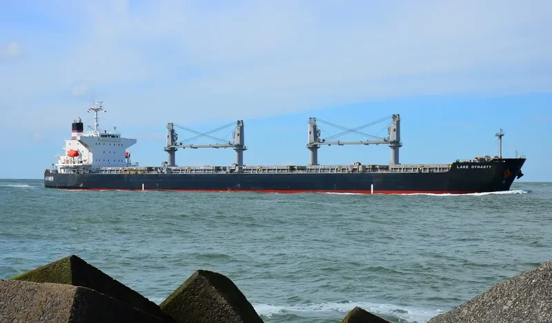 EMELDA Bulk Carrier IMO 9409089 photo 10