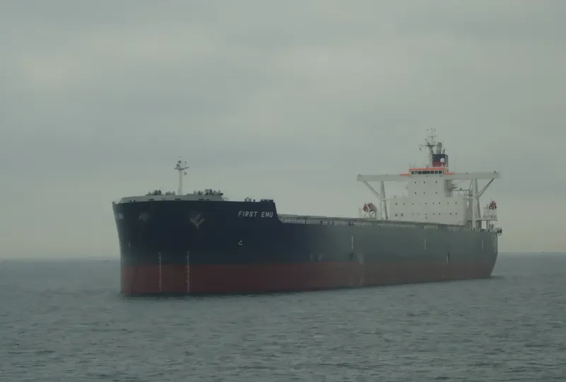 MOUNT AUSTIN Bulk Carrier IMO 9409118 photo 3