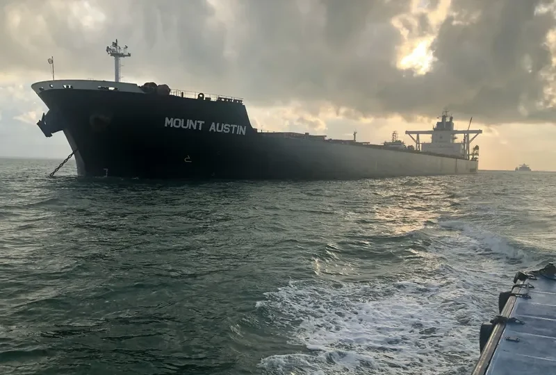 MOUNT AUSTIN Bulk Carrier IMO 9409118 photo 4