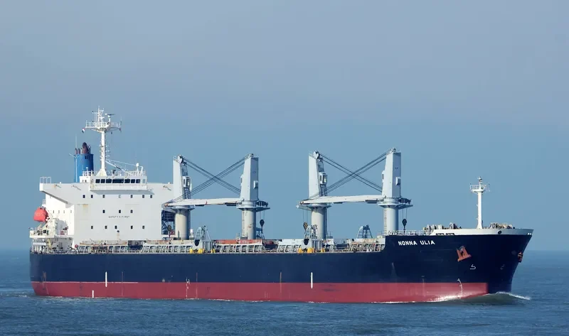 CHARISMA Bulk Carrier IMO 9409132 photo 2