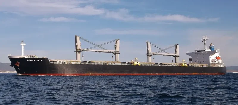 CHARISMA Bulk Carrier IMO 9409132 photo 3