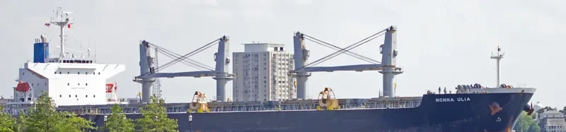 CHARISMA Bulk Carrier IMO 9409132 photo 5