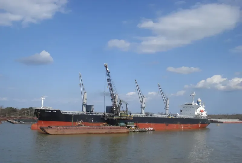 CHARISMA Bulk Carrier IMO 9409132 photo 7