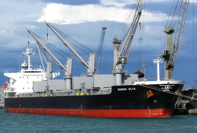 CHARISMA Bulk Carrier IMO 9409132 photo 10