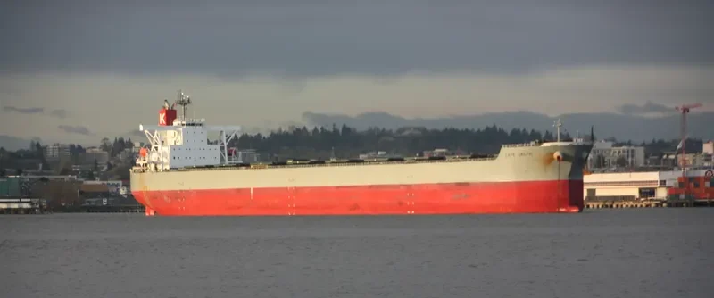 CAPE CELTIC Bulk Carrier IMO 9409144 photo 6