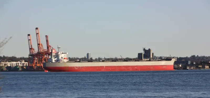 CAPE CELTIC Bulk Carrier IMO 9409144 photo 9