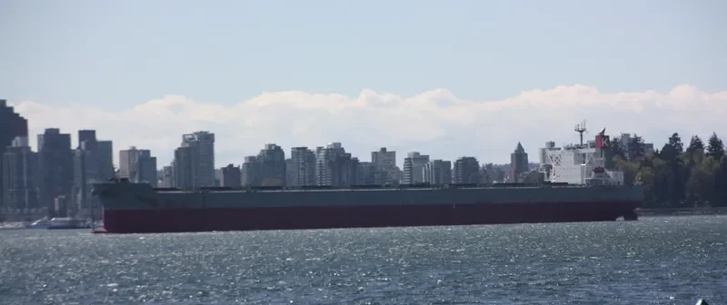 CAPE CELTIC Bulk Carrier IMO 9409144 photo 10