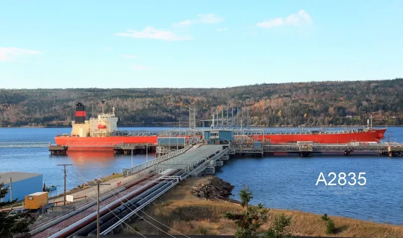 BOWFIN Tanker IMO 9409467 photo 4