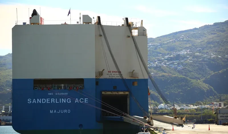 SANDERLING ACE General Cargo IMO 9409481
