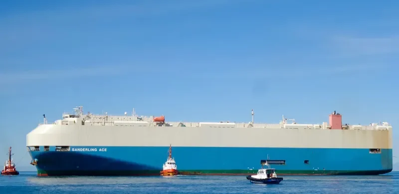 SANDERLING ACE General Cargo IMO 9409481 photo 8