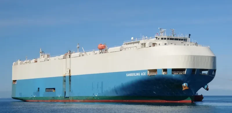 SANDERLING ACE General Cargo IMO 9409481 photo 9