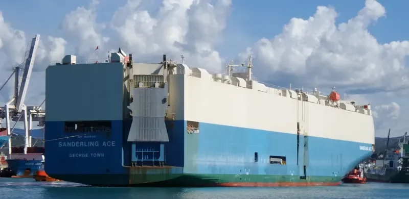 SANDERLING ACE General Cargo IMO 9409481 photo 10