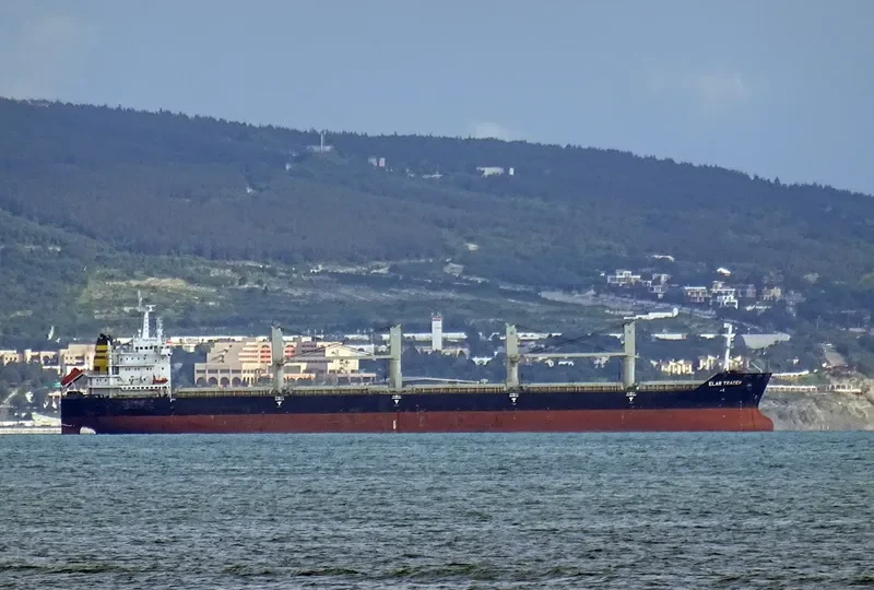ELAR TRADER Bulk Carrier IMO 9409534 photo 7