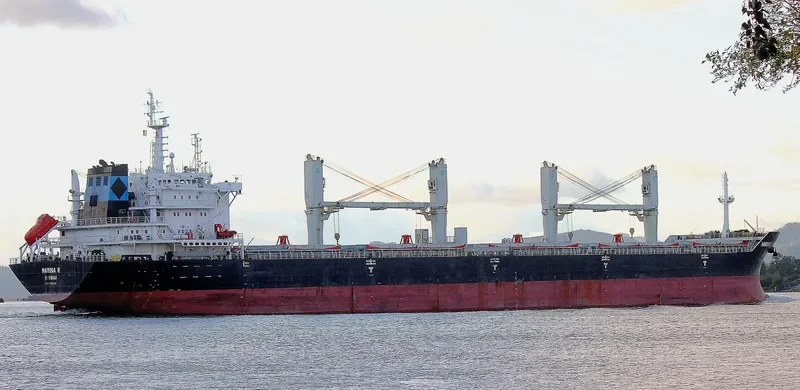 MARINA R Bulk Carrier IMO 9409546