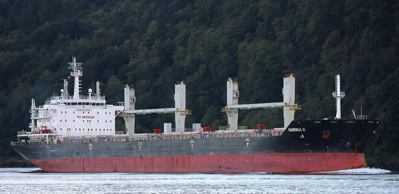 MARINA R Bulk Carrier IMO 9409546 photo 2