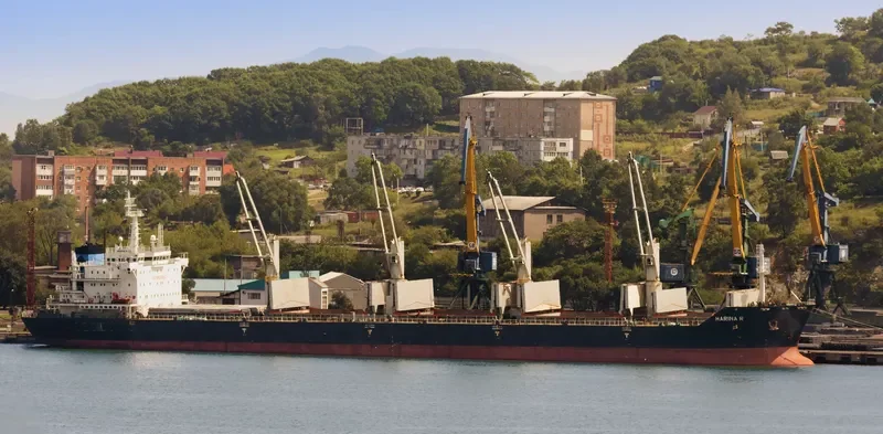 MARINA R Bulk Carrier IMO 9409546 photo 3