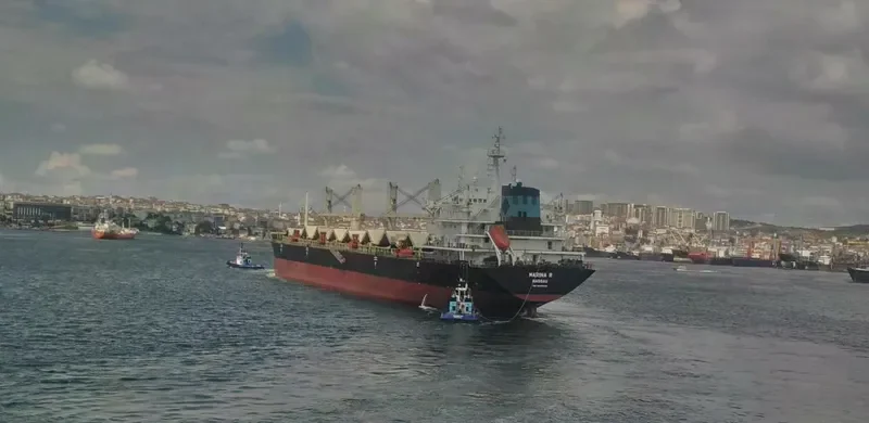 MARINA R Bulk Carrier IMO 9409546 photo 8