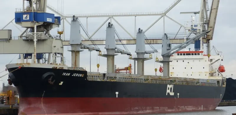 COURAGE Bulk Carrier IMO 9409584 photo 2