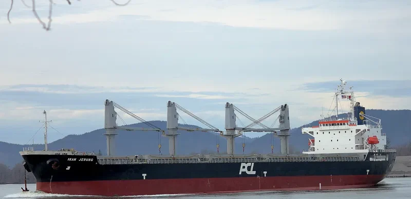 COURAGE Bulk Carrier IMO 9409584 photo 10