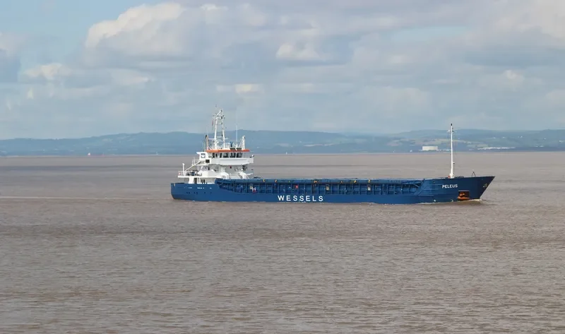 WILSON DAGENHAM General Cargo IMO 9409613