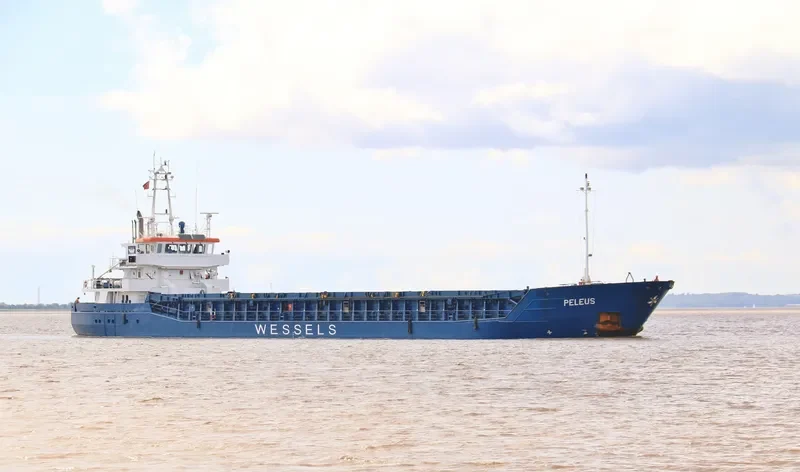 WILSON DAGENHAM General Cargo IMO 9409613 photo 2