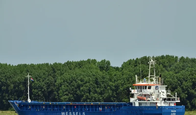 WILSON DAGENHAM General Cargo IMO 9409613 photo 6