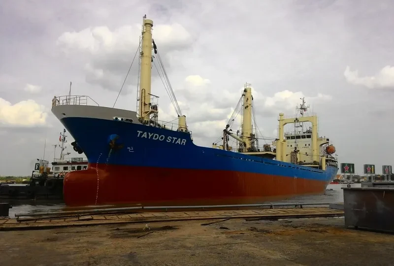 TAY DO STAR General Cargo IMO 9409687