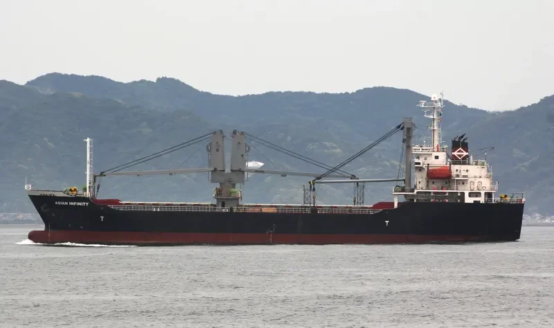 ASIAN INFINITY General Cargo IMO 9409699 photo 7