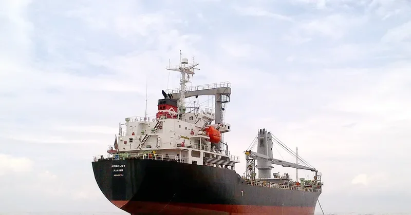 ASIAN JOY General Cargo IMO 9409704 photo 2
