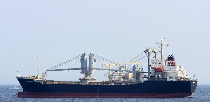 ASIAN JOY General Cargo IMO 9409704 photo 5