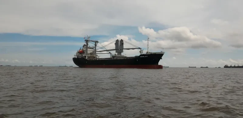 ASIAN JOY General Cargo IMO 9409704 photo 6