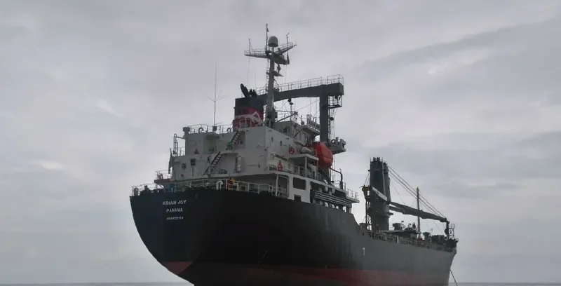 ASIAN JOY General Cargo IMO 9409704 photo 7