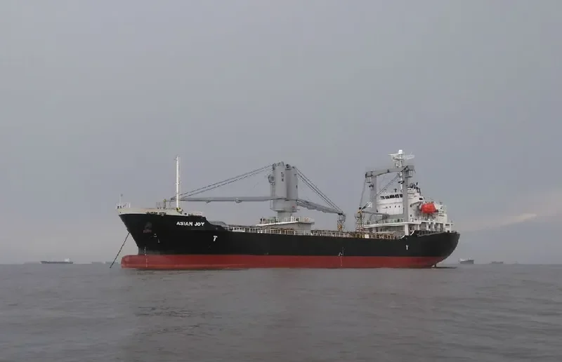 ASIAN JOY General Cargo IMO 9409704 photo 8